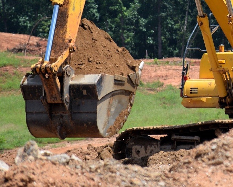 El PSOE de Roquetas reclama la planificación de las tareas de mantenimiento para que no pasen años sin reponer árboles o asfaltar calles en mal estado