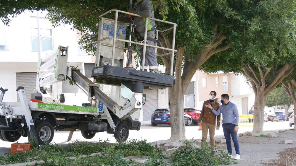 Ayuntamiento de Adra pone en marcha su plan de poda que tratará cerca de 7.000 ejemplares