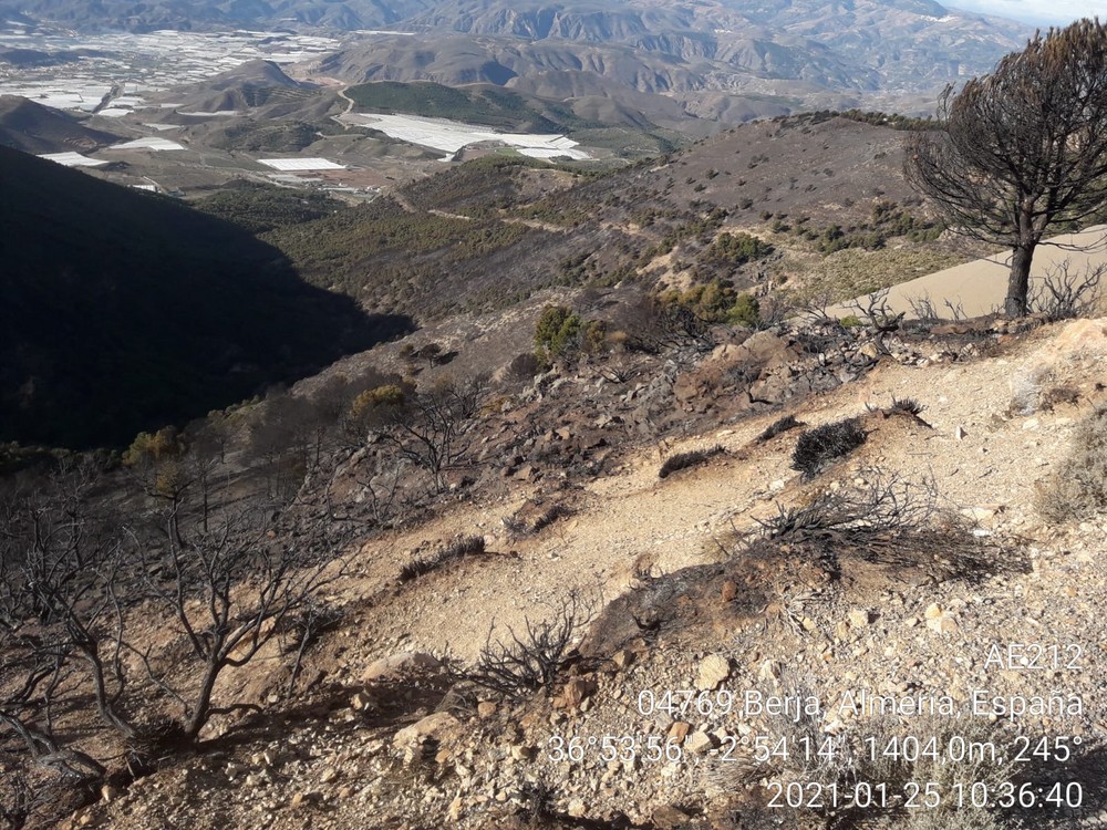 El INFOCA da al fin por extinguido el incendio desatado el viernes en la Sierra de Gádor