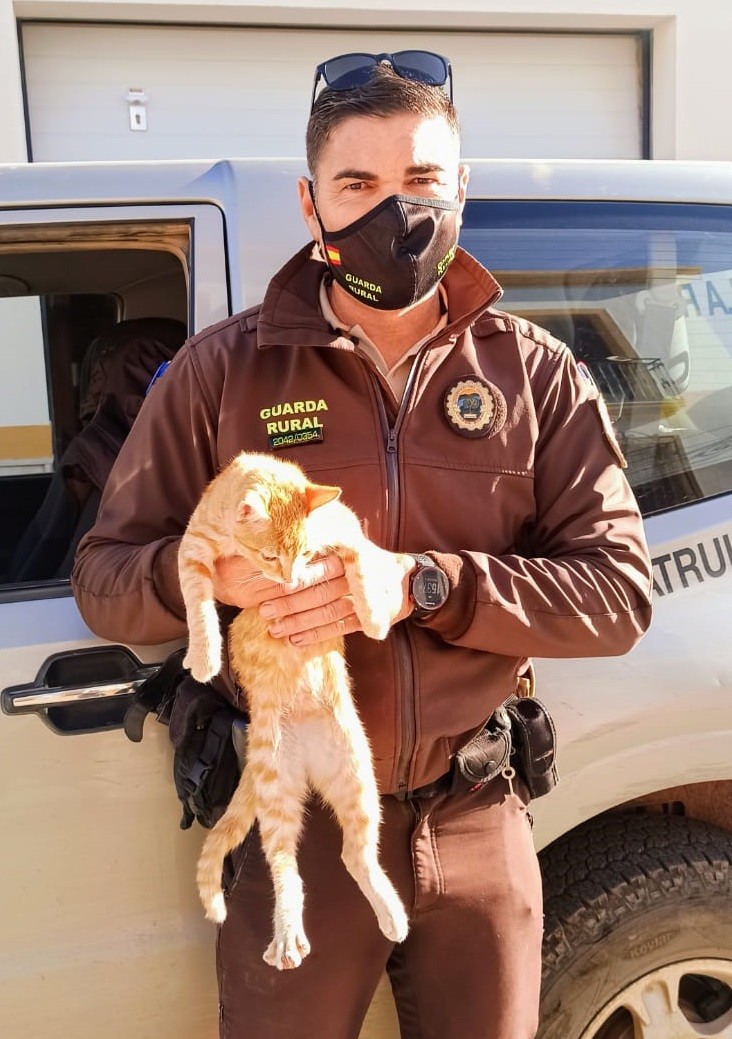 Dalías implantará el método CER para controlar y proteger las colonias de gatos