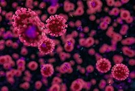 El coronavirus deja cuatro nuevos fallecidos en Almería y casi 600 positivos en un día