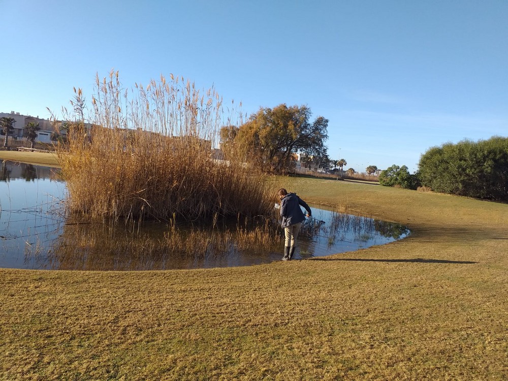 El Ayuntamiento de El Ejido continúa con actuaciones para el control de mosquitos