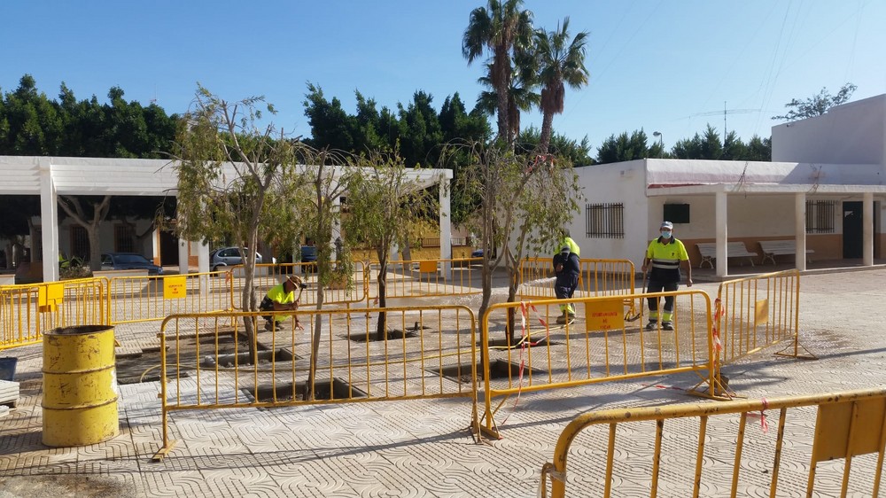 Antonio Bonilla destaca los buenos resultados de las iniciativas del Programa Coopera en Vícar