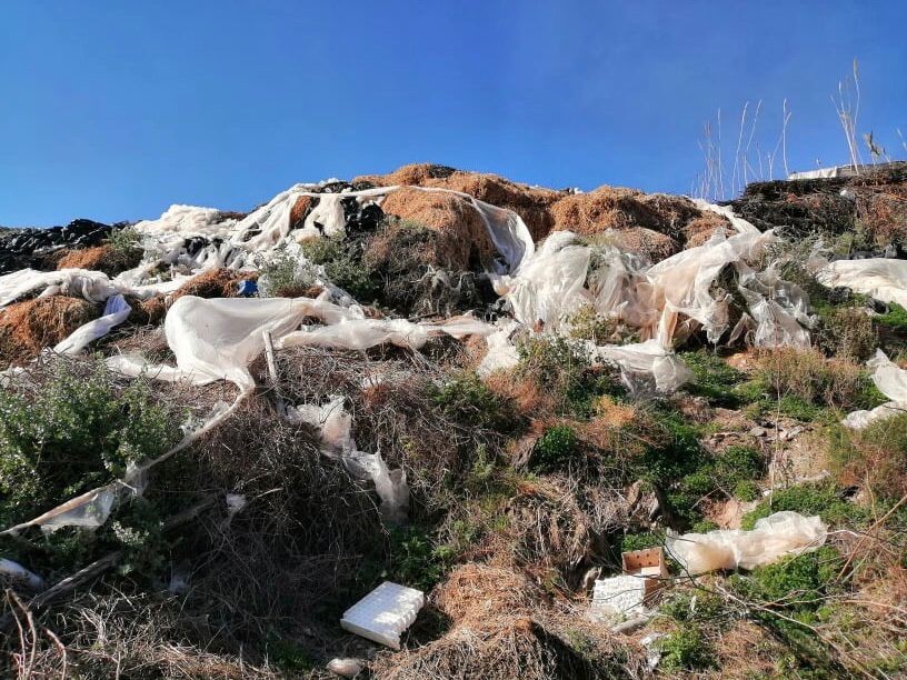 El PSOE de Adra impulsa el barrido cero para el campo abderitano para mejorar su imagen y su productividad
