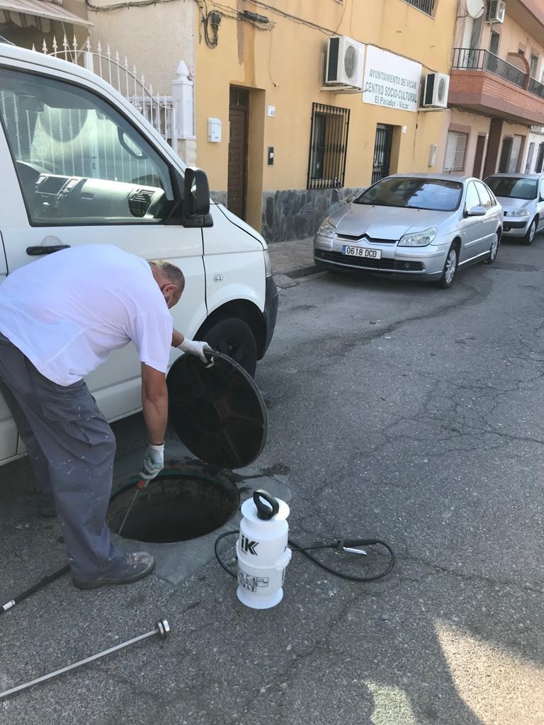 Vícar activa la campaña de saneamiento D+D+D destinada al control de plaga de insectos voladores y rastreros