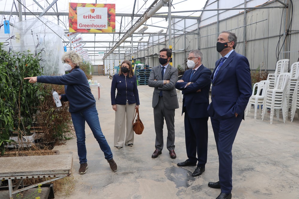 El Ejido trabaja en nuevas experiencias turísticas con la conexión de agricultura, gastronomía y patrimonio cultural