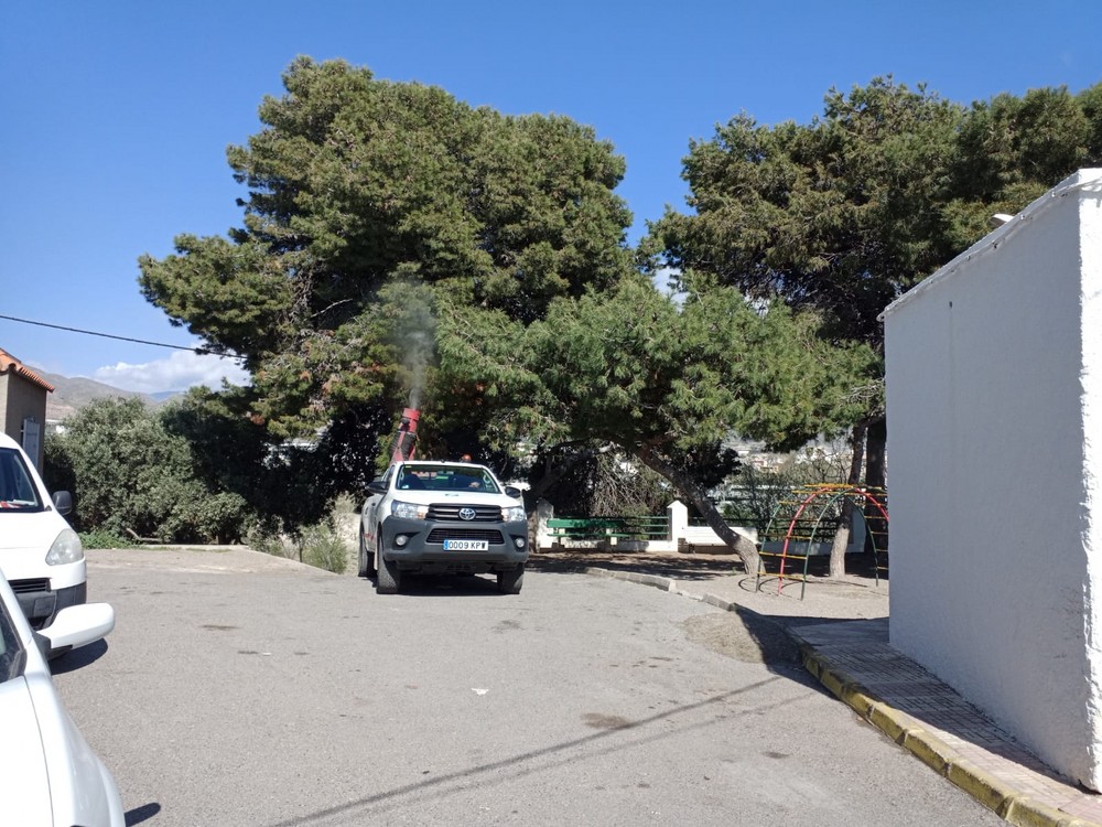 Ayuntamiento de Adra realiza labores preventivas contra la oruga procesionaria en colegios y zonas urbanas