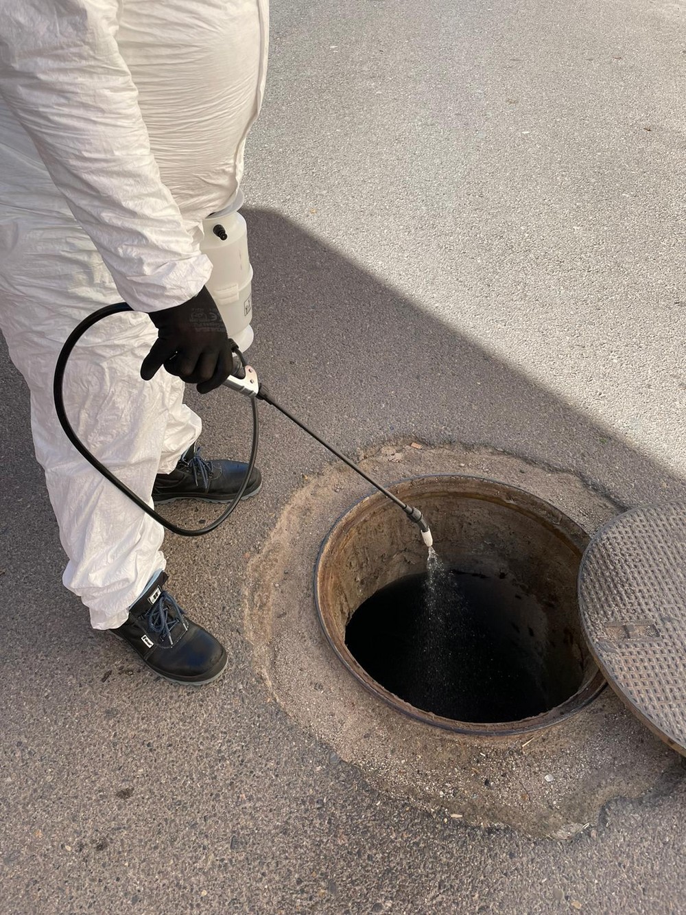 La Gangosa acoge las primeras actuaciones de la campaña de desinsectación del subsuelo de Vícar