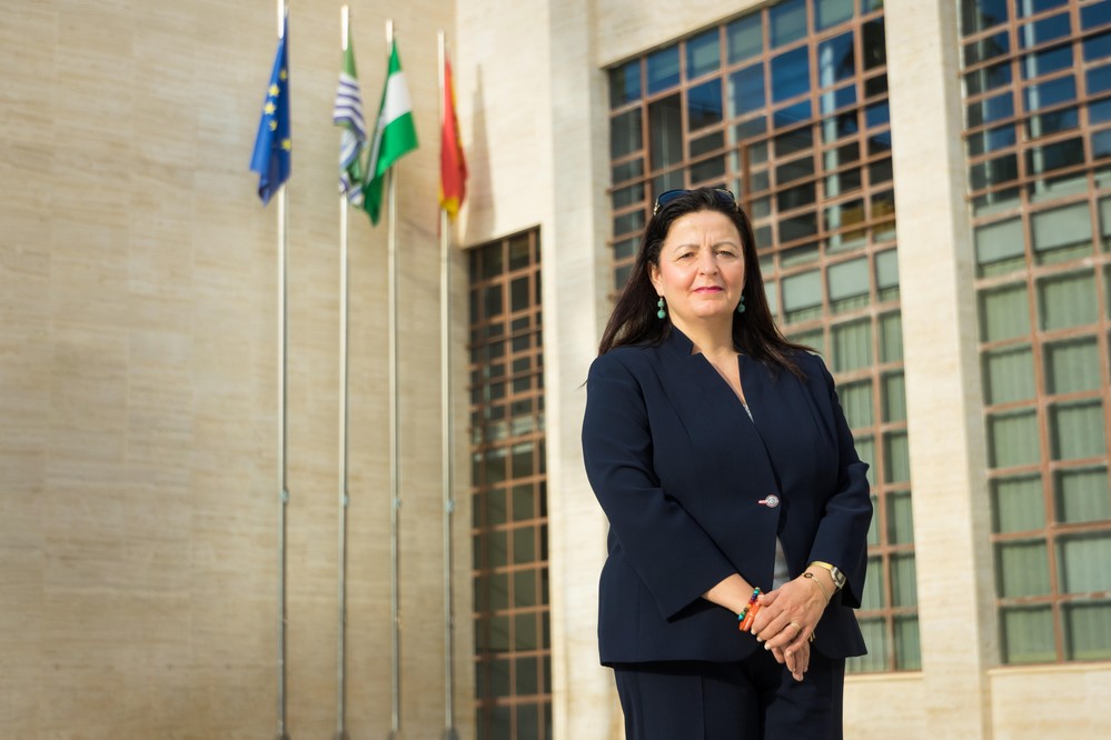 El pleno rechaza la moción de Ciudadanos El Ejido para estudiar la instalación de atracciones en recintos controlados