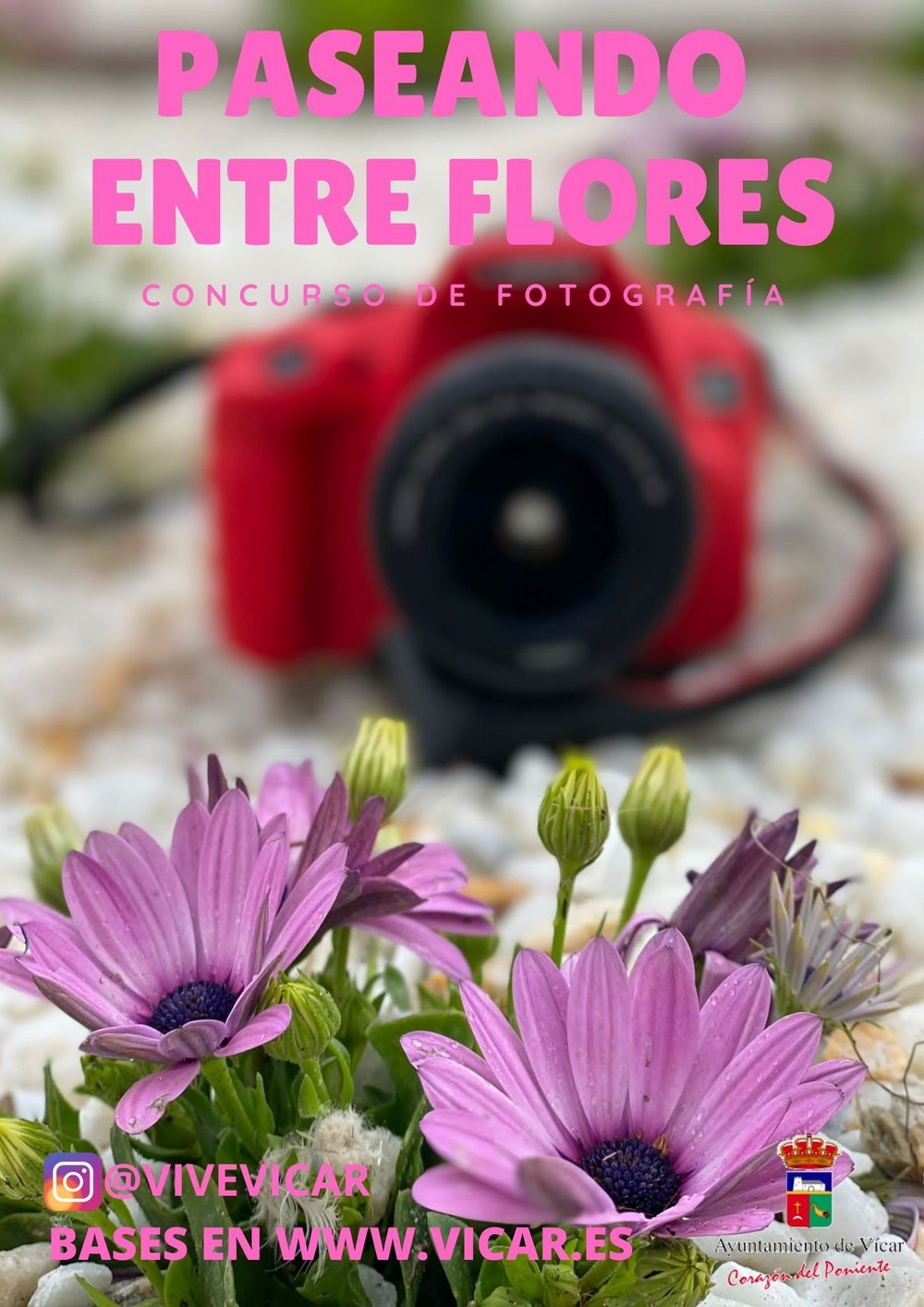 El Ayuntamiento de Vícar acompaña la actividad 'Paseando entre Flores' con un concurso fotográfico