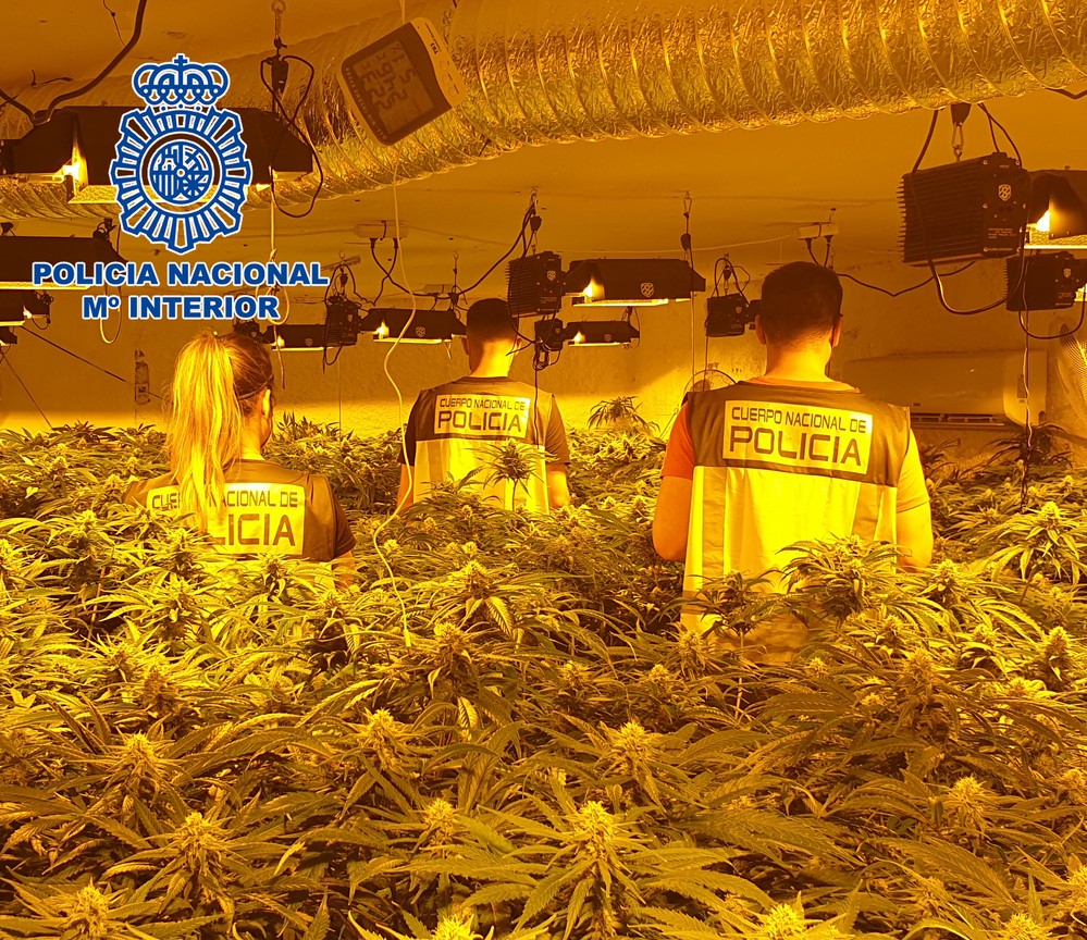 La Policía Nacional de Almería y El Ejido detuvo a 47 personas en el primer trimestre de 2021 por delitos de tráfico de drogas