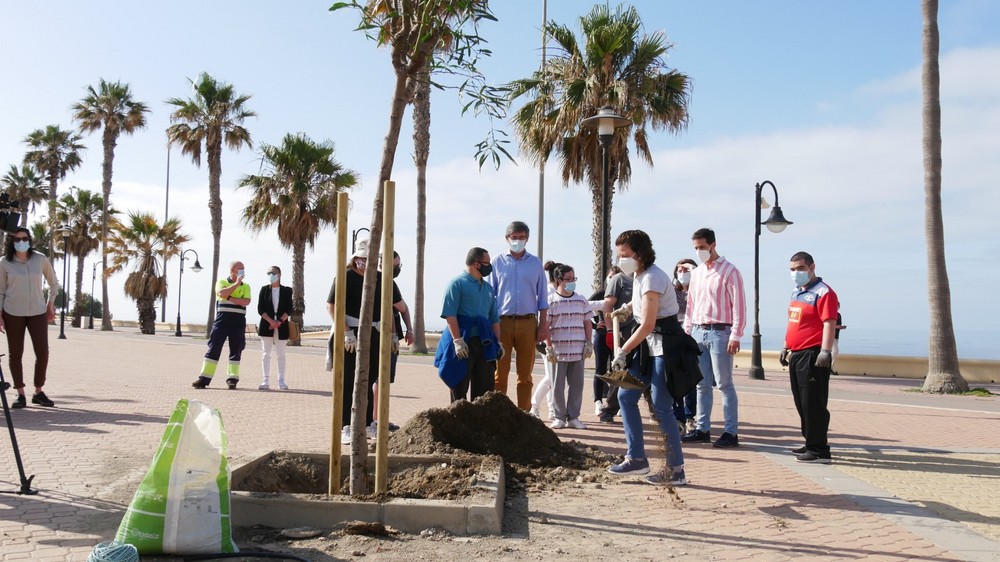 El Ayuntamiento de Adra dota a Pago del Lugar de nuevas zonas de arbolado