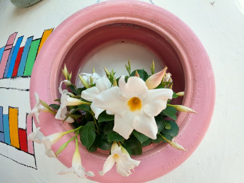 ‘Flores De Mayo’ como complemento al embellecimiento primaveral de la Villa de Vícar