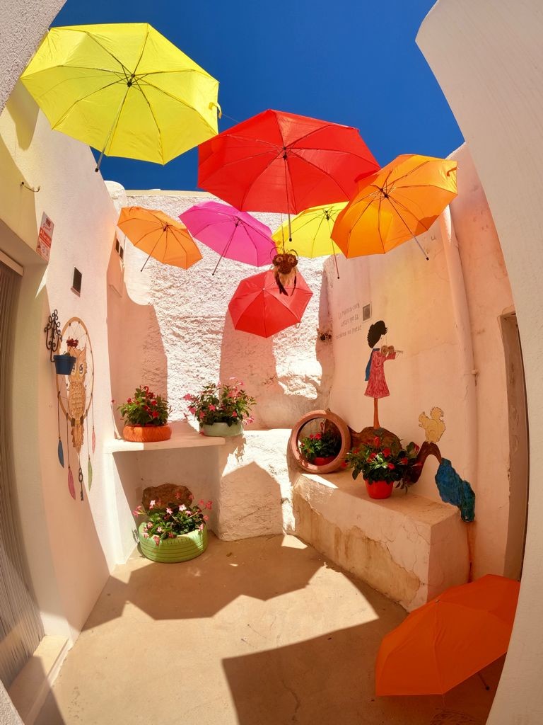 El concurso fotográfico 'Paseando entre Flores' amplia su plazo de recepción de  imágenes hasta el 6 de junio