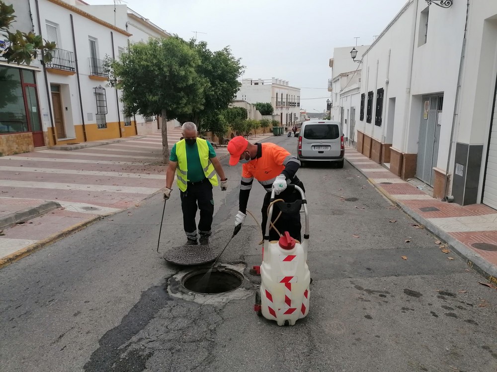 Dalías pone en marcha el plan de desinfección de la red de alcantarillado y el tratamiento contra plagas