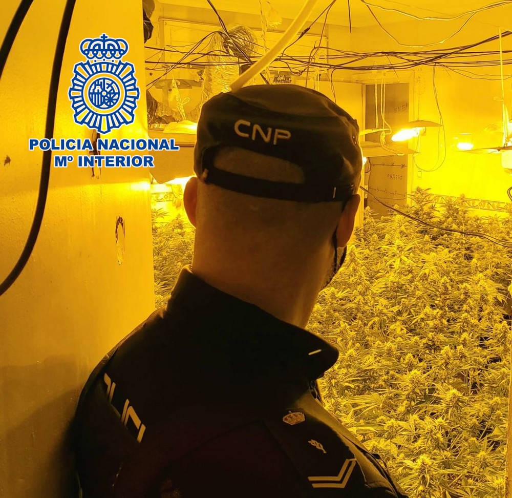 La Policía Nacional ha desmantelado un narcobloque de viviendas en el centro de El Ejido