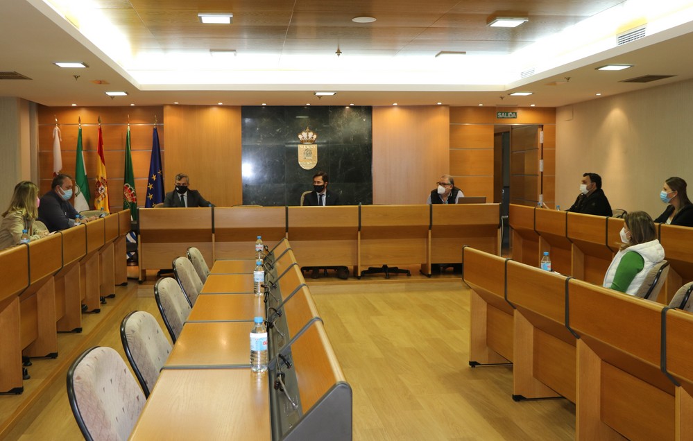 El Gobierno local invertirá 950.000 euros en la instalación de césped artificial en los campos de fútbol de Las Norias, Santa María del Águila y el anexo de Santo Domingo