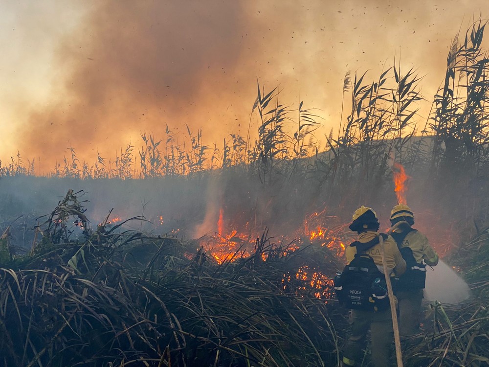 El incendio en la Albufera de Adra sigue activo pero controlado