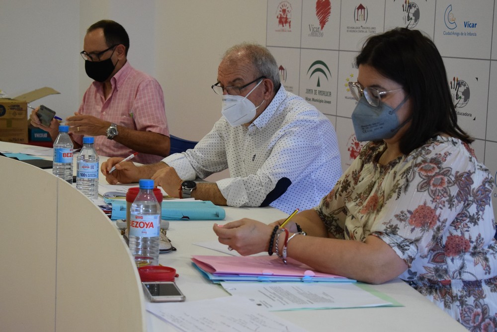 El Pleno da su visto bueno por unanimidad a las cuatro mociones debatidas en la penúltima sesión antes de las vacaciones