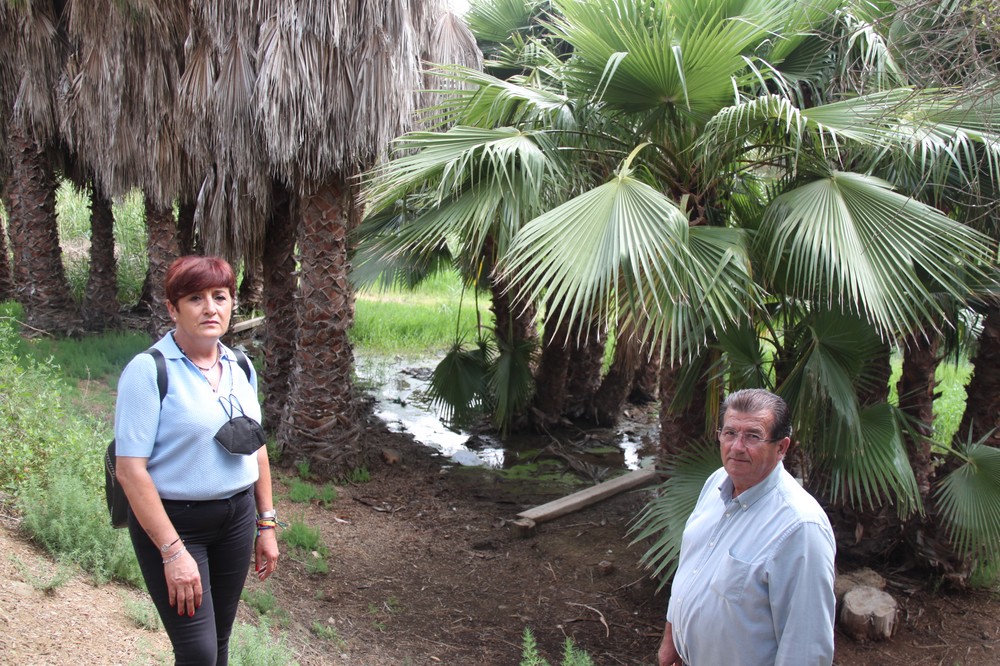 El PSOE de El Ejido propone que se estudie la opción de crear un Aula de Naturaleza en el Parque Forestal de Matagorda