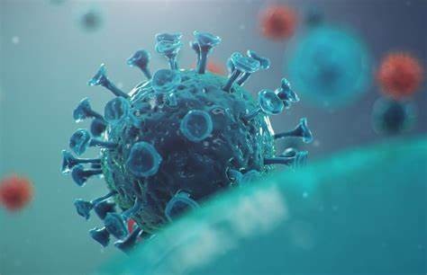 Almería registra un día más un elevado número de contagios por COVID-19 con 323 positivos