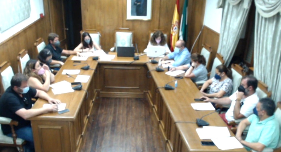 El PP daliense denuncia que PSOE-IU aprueban un contrato de recogida de basura improvisado e insuficiente