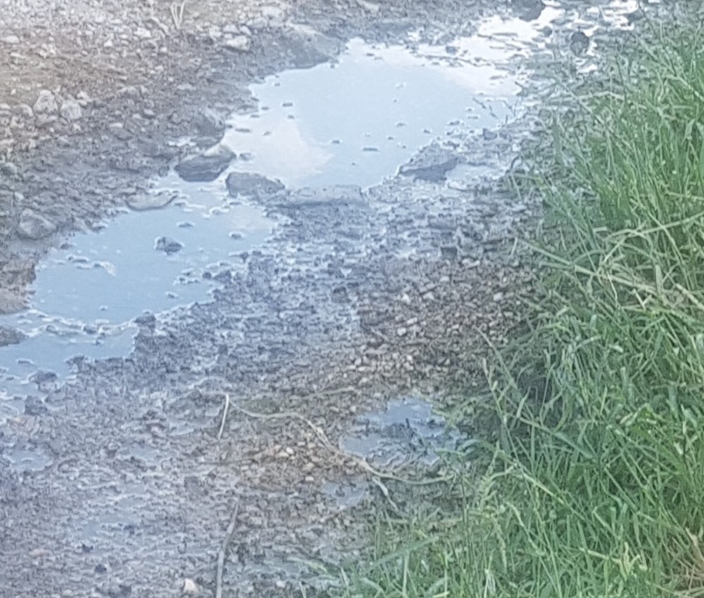 Vecinos de Dalías denuncian el vertido de aguas de la depuradora en la Rambla de Almecete