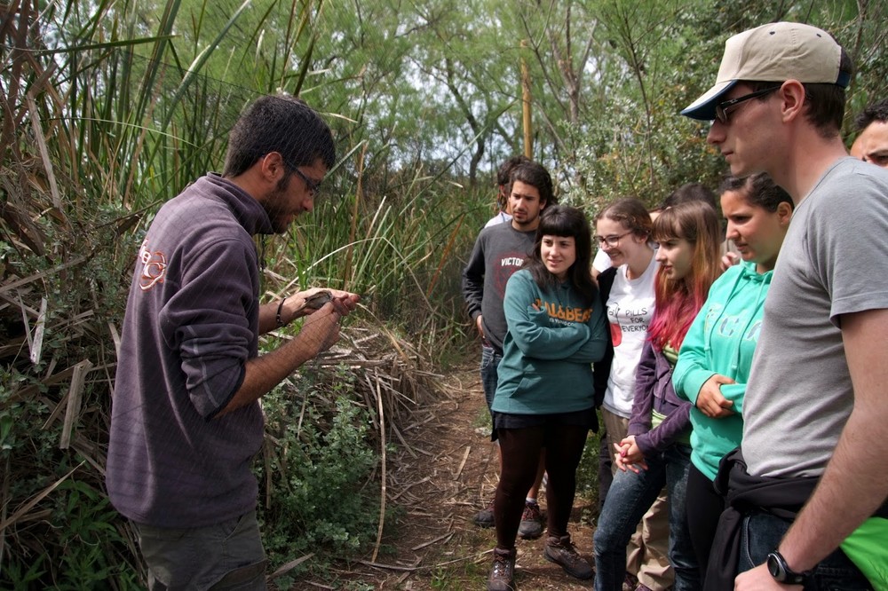 La Junta celebra el Día de las Aves con actividades en Adra, Roquetas de Mar y El Ejido