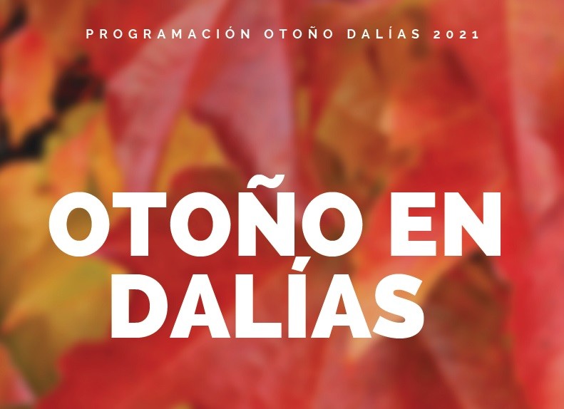 El Ayuntamiento de Dalías impulsa una programación de actividades culturales, deportivas, sociales y de ocio para este otoño