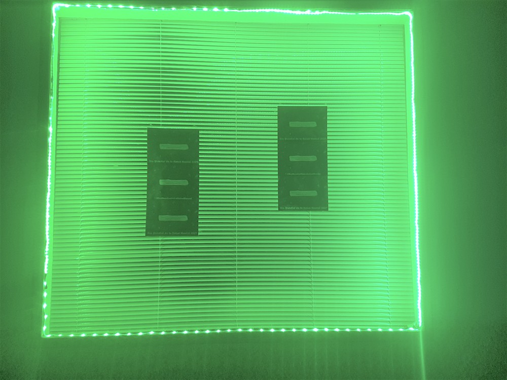 El Partido Popular de Dalías conmemora en su sede el Día Mundial de la Salud Mental