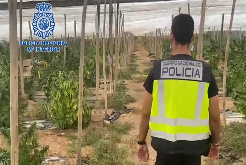 La Policía Nacional interviene en Santa María del Águila más de 5 toneladas de marihuana