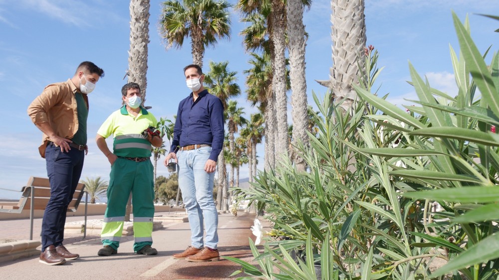 El Ayuntamiento de Adra embellece la zona verde del Censo