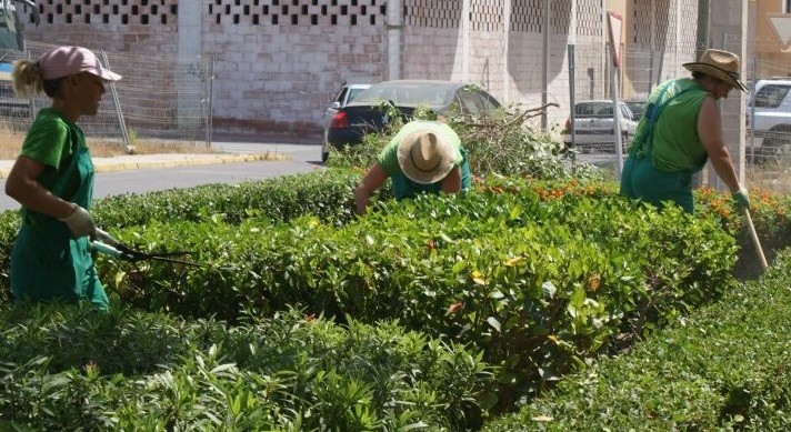 Vícar mejora sus zonas verdes gracias al Plan Savia 2020-2021