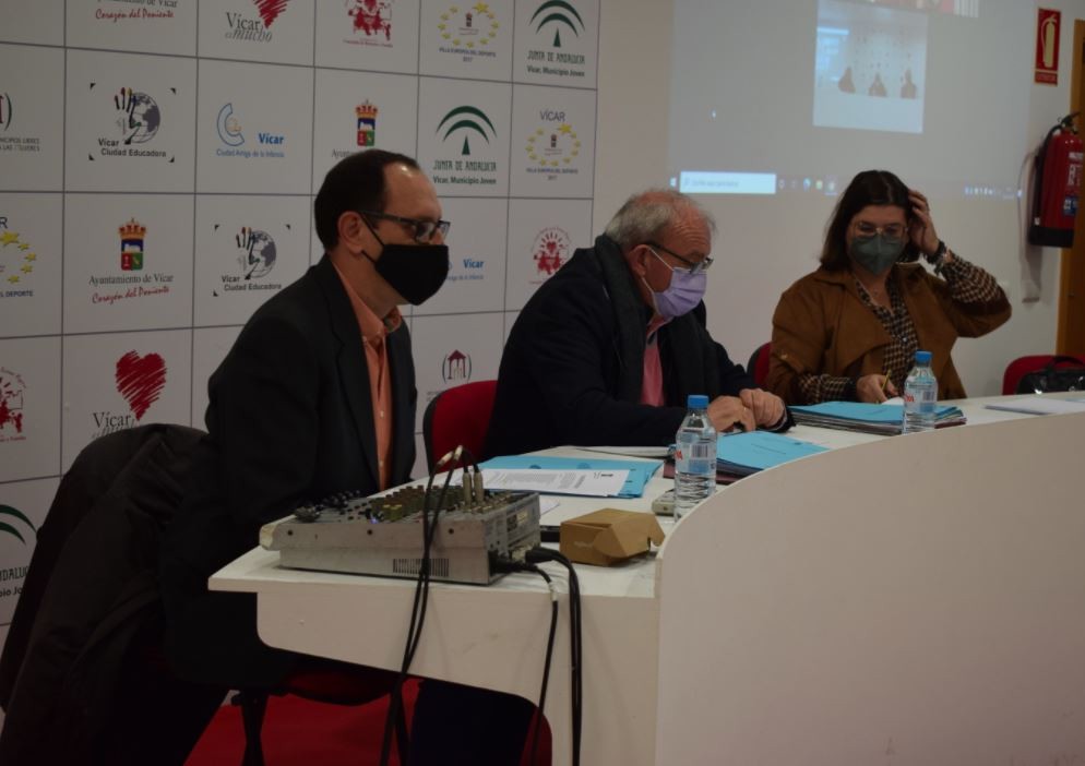 El Pleno da el ok a la nueva prórroga del II Plan Municipal de la Familia, la Infancia y la Adolescencia de Vícar