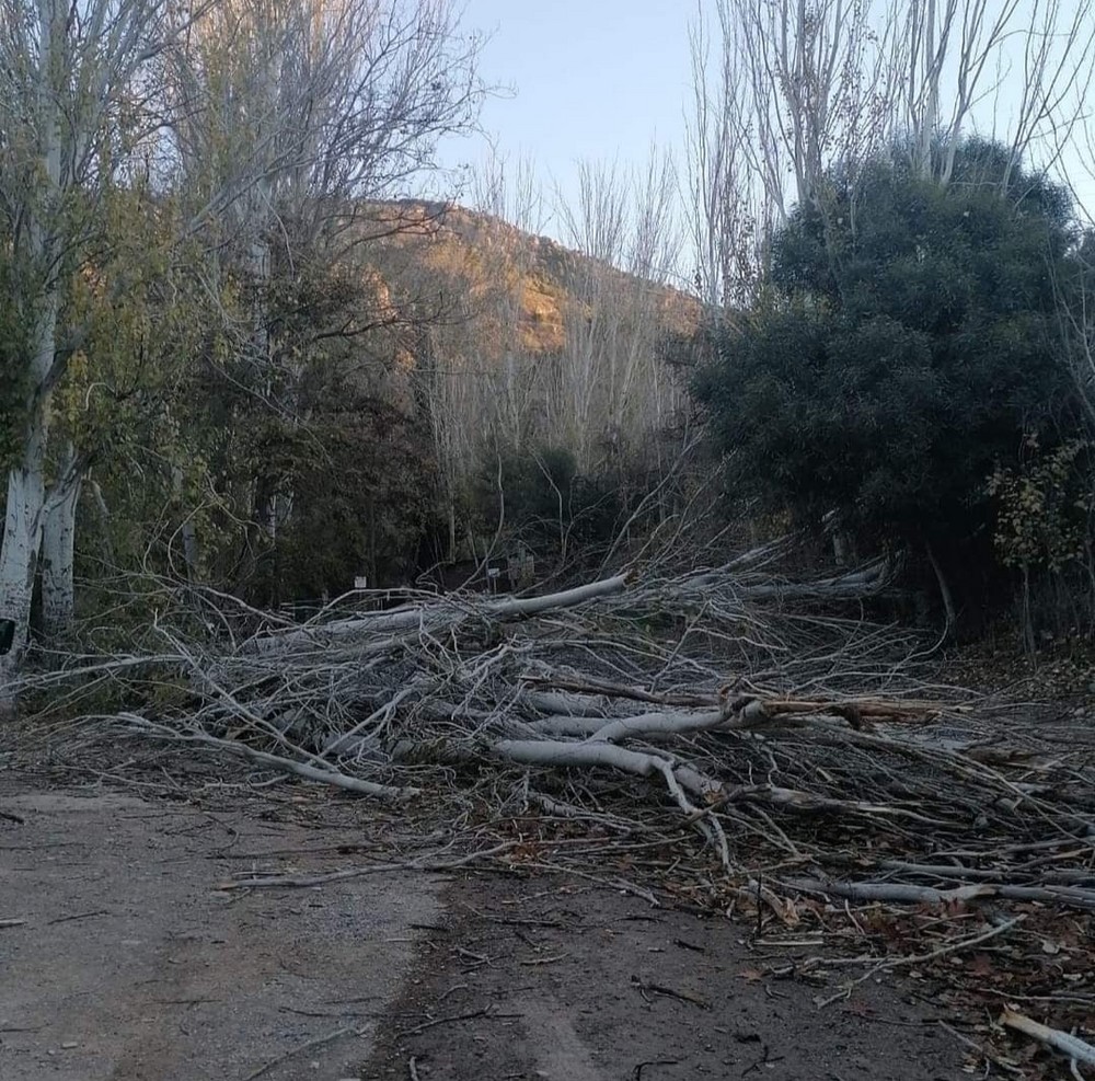 El fuerte viento y la caída de árboles obligan a cerrar el Arroyo de Celín