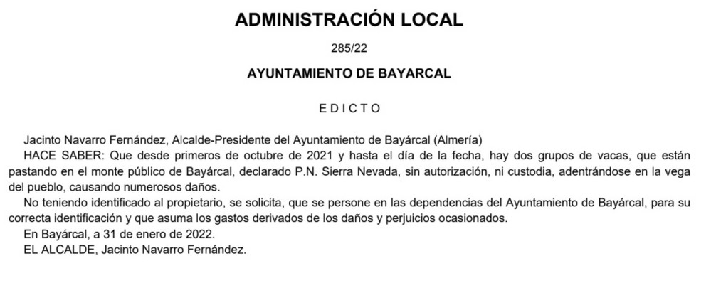 El Ayuntamiento de Bayárcal busca al propietario de unas vacas que están dañando el monte público