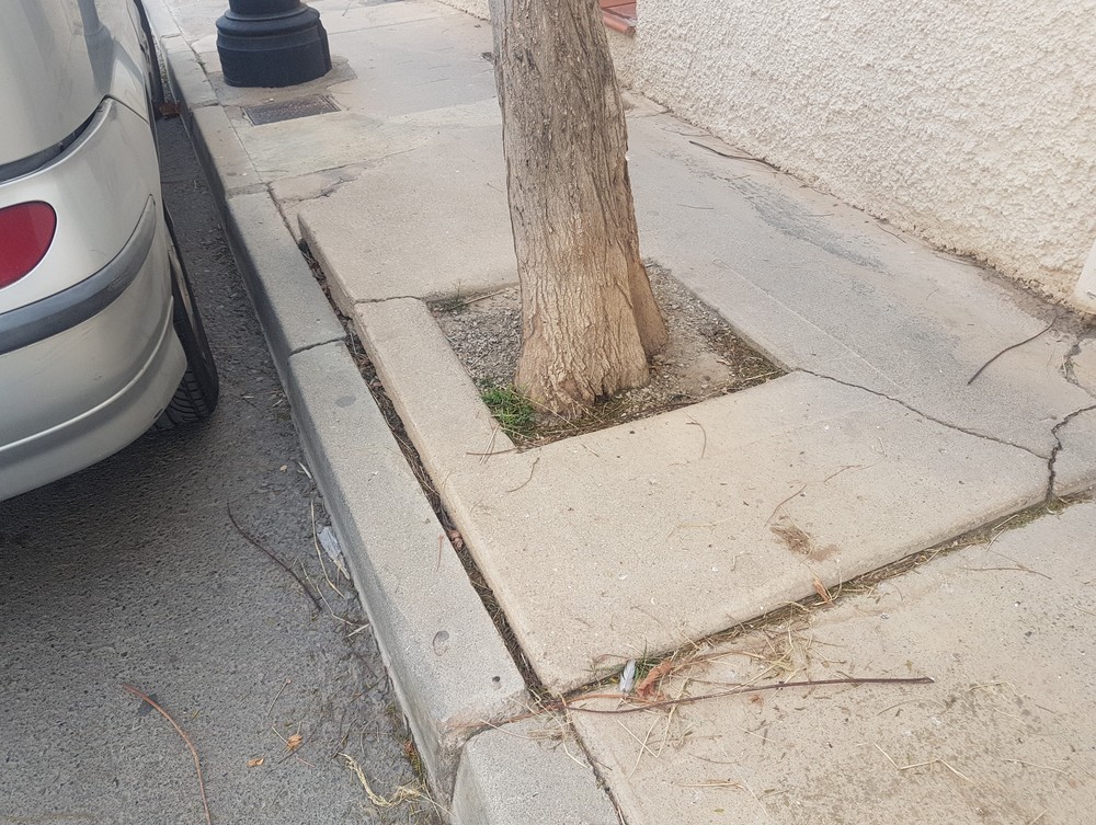 Populares de Dalías exige que los trabajos de mejora en la calle Rambla de Gracia se lleven a cabo en todo su tramo