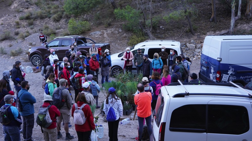 Regenera Berja organiza una nueva jornada de reforestación para el sábado 19 de febrero