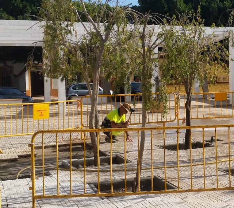 Vícar hace un balance positivo de las iniciativas del Programa Coopera-2