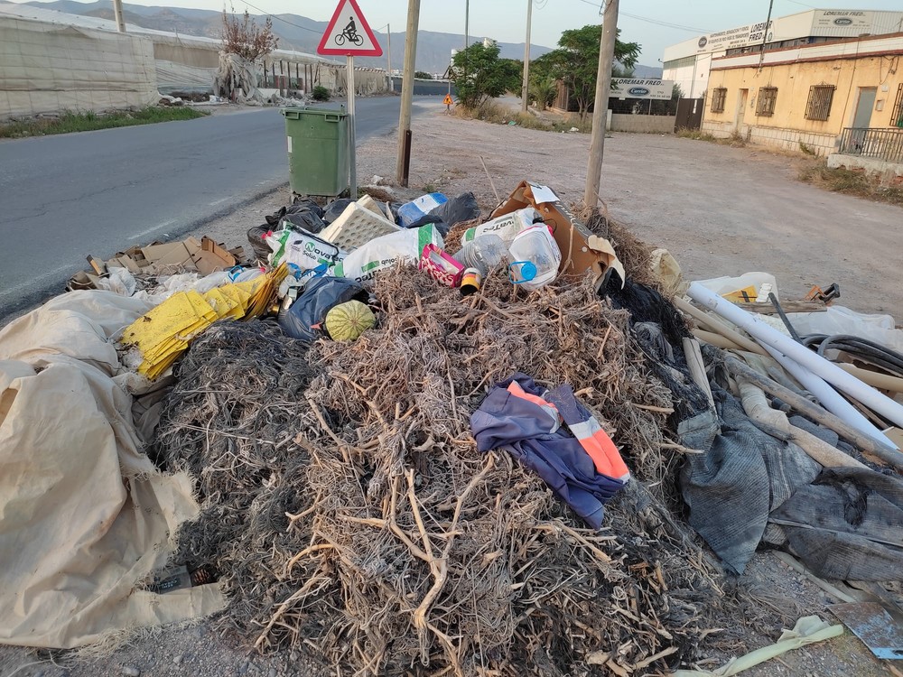 El PP de Vícar lamenta el estado de “abandono” que sufre el municipio e insta al alcalde a “mantener limpias las calles”