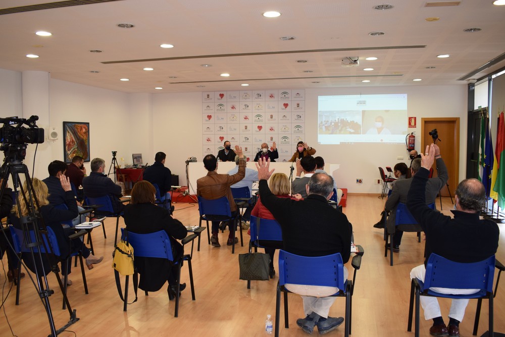 Vía libre del Pleno para solicitar la inclusión del Yacimiento Argárico de Vícar como Bien de Interés Cultural de Andalucía