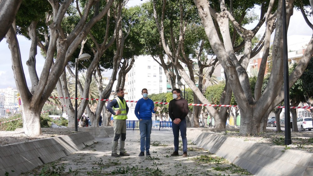 El Plan de Refuerzo y Mantenimiento de Adra avanza con la poda los ficus del parque del Puerto