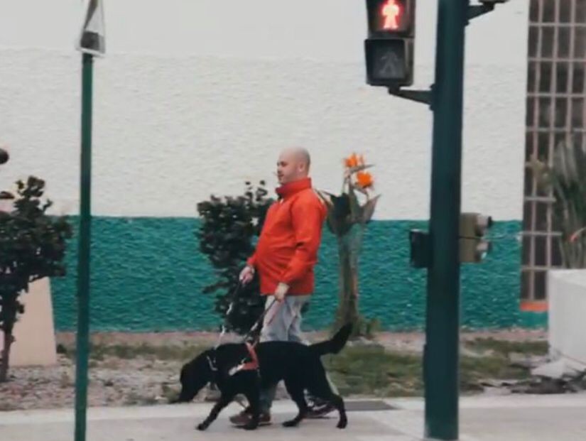 El PSOE de Adra exige que se adapten todos los semáforos para personas invidentes