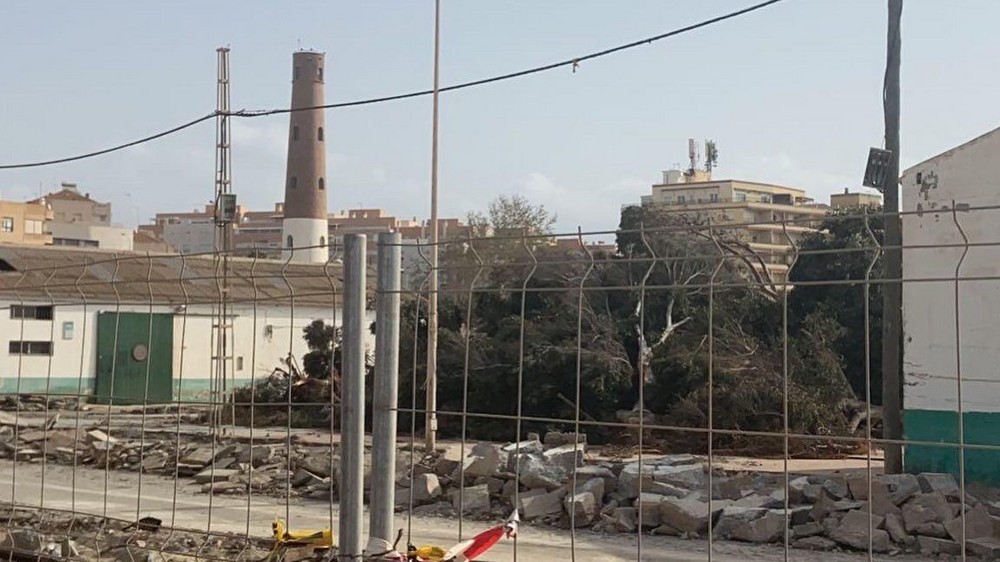 El PSOE de Adra exige al alcalde que se preocupe por los árboles del municipio, “sean o no de su competencia”