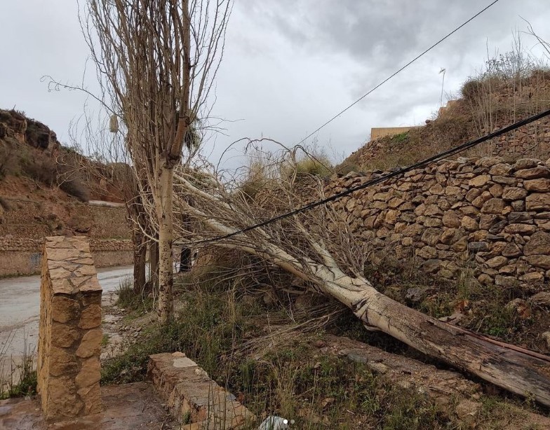Las fuertes rachas de viento obligan a cerrar el Arroyo de Celín