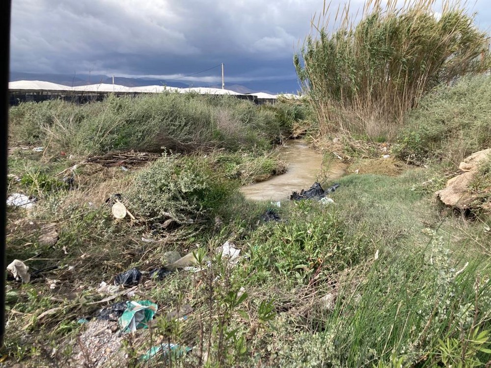 El PSOE advierte a Gabriel Amat del “peligroso” estado de la rambla del Cañuelo