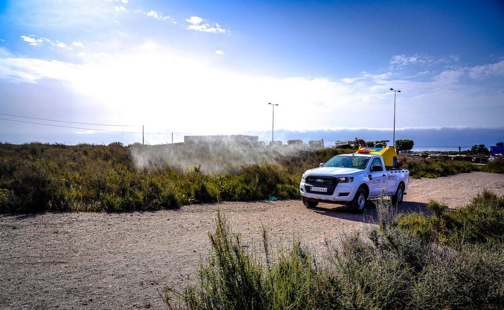 El PSOE roquetero exige medidas “urgentes y excepcionales” ante la ‘crisis de mosquitos’