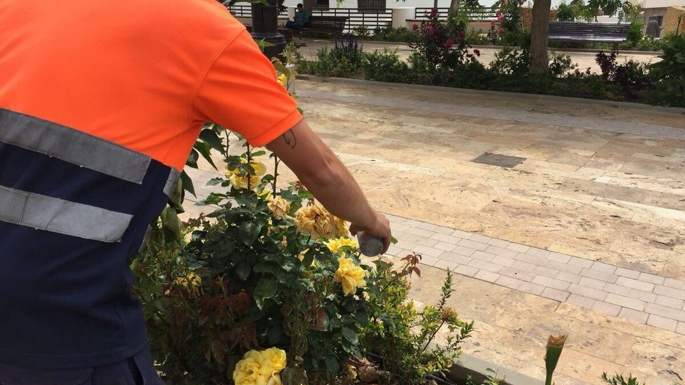 Dalías comienza con el plan de lucha integrada en sus espacios verdes para combatir las plagas