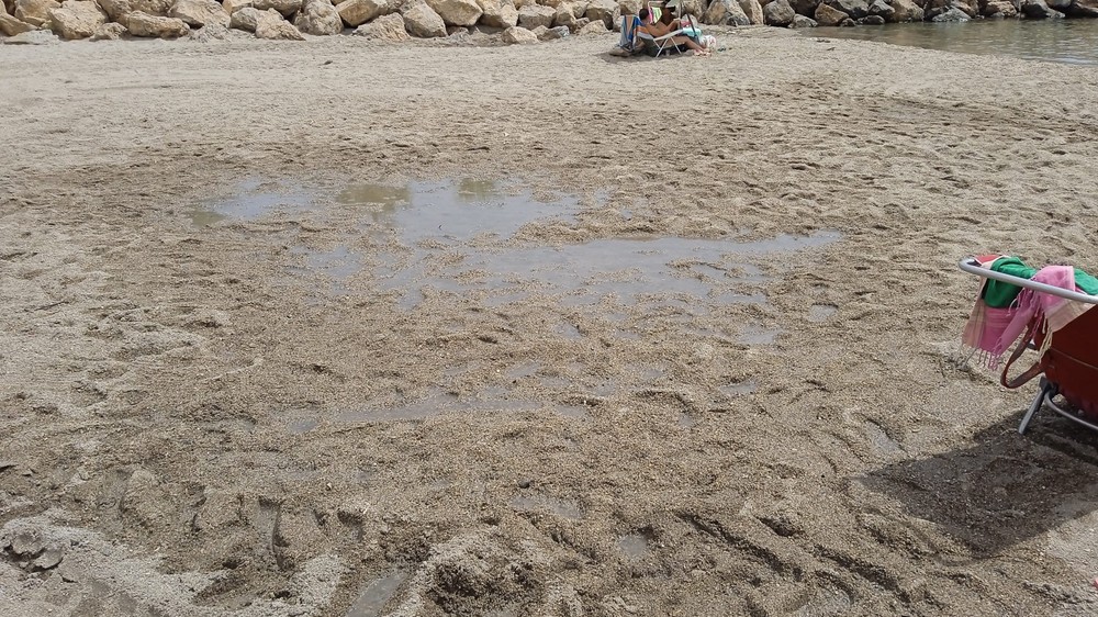 Manolo García denuncia la pasividad de Amat ante la existencia de vertidos junto al Puerto de Aguadulce