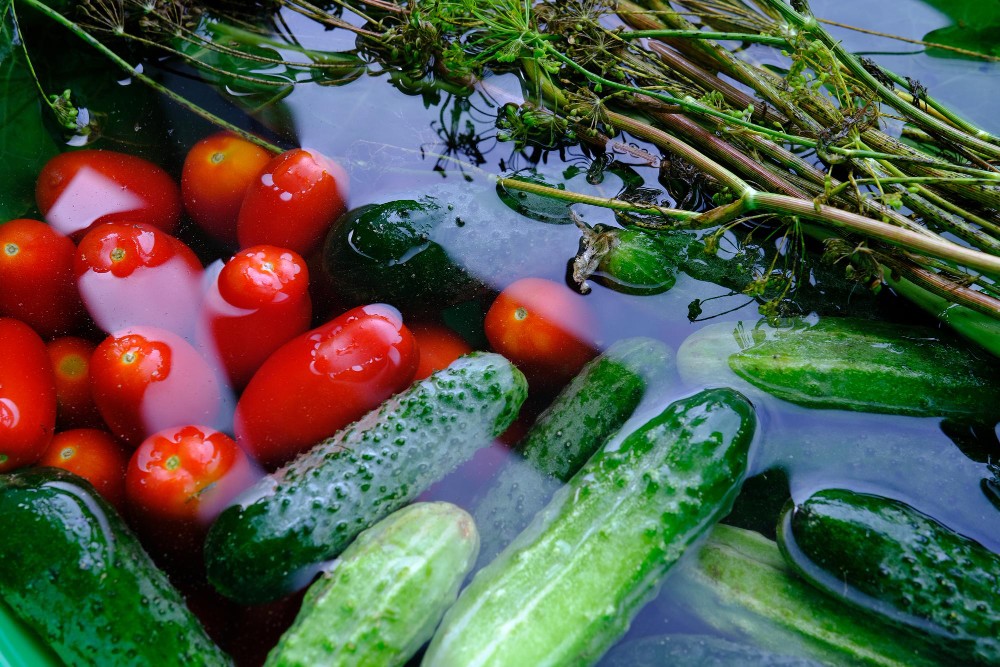 Berja organiza un curso de fabricación de conservas vegetales